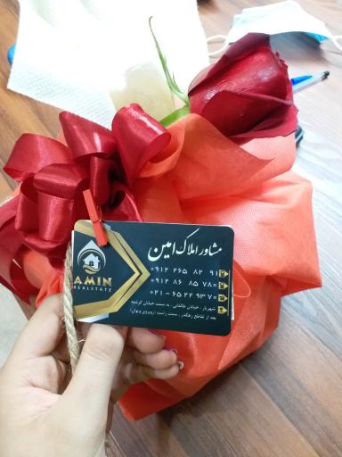 عکس املاک امین 