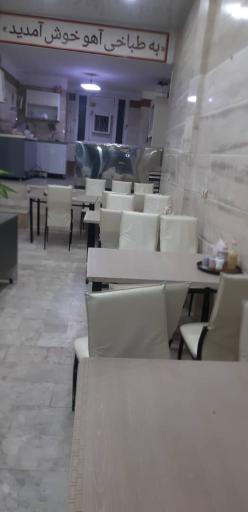 عکس طباخی آهو