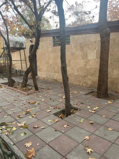 عکس سرویس بهداشتی