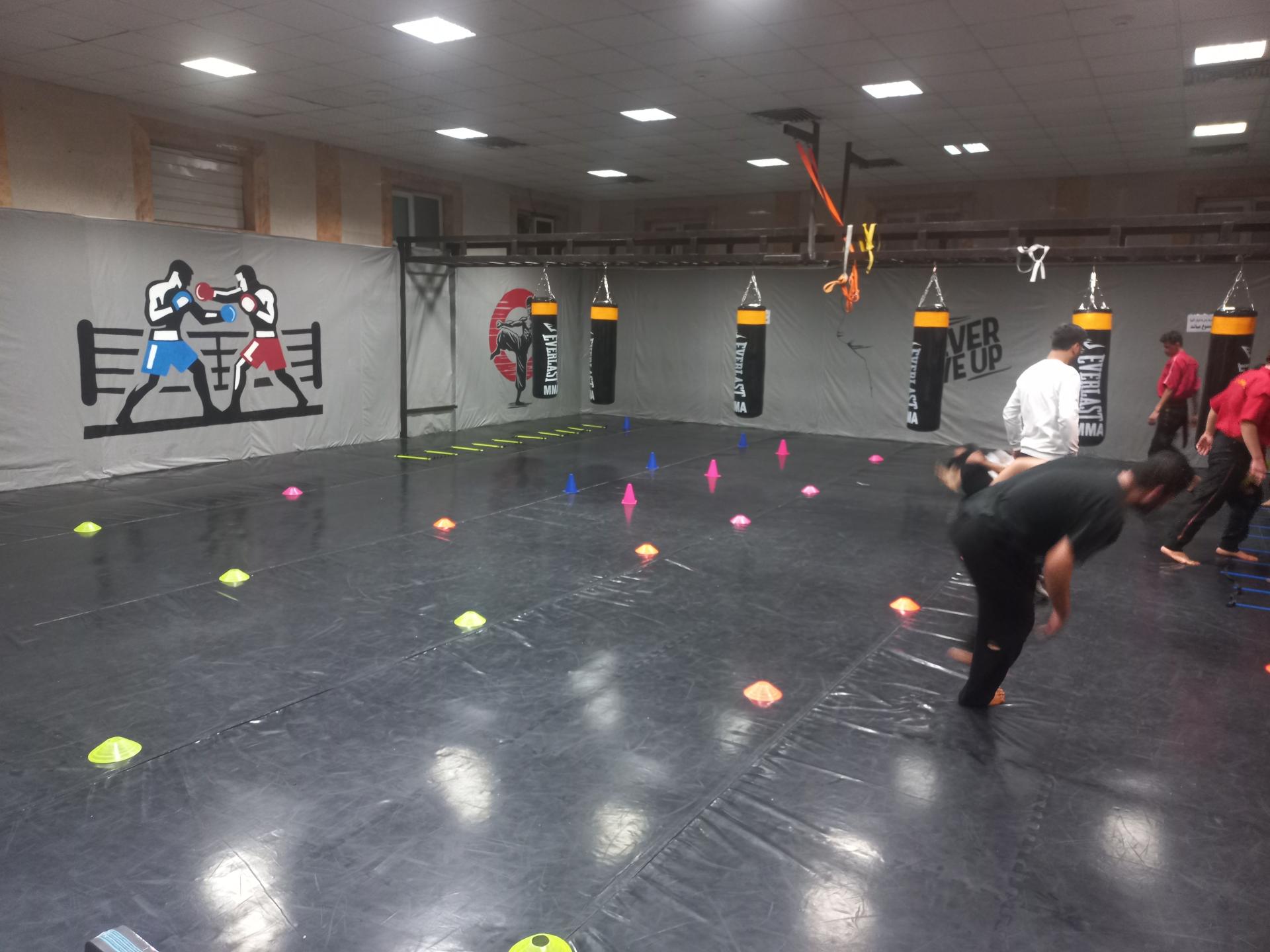 عکس باشگاه ورزشی هانیکا (عوایدی)