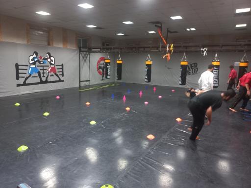 عکس باشگاه ورزشی هانیکا