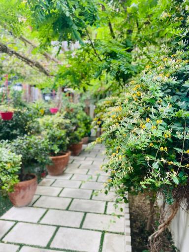 عکس آموزشگاه موسیقی سیمرغ