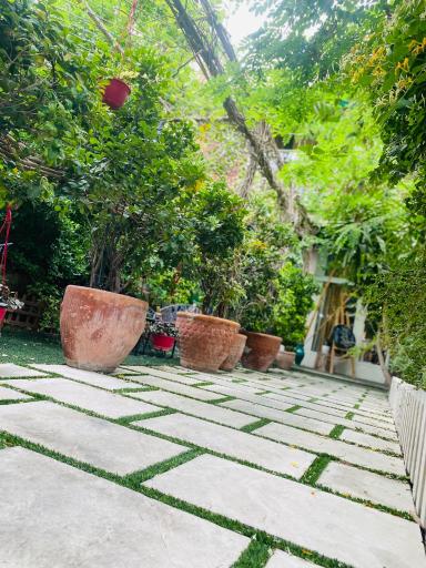 عکس آموزشگاه موسیقی سیمرغ