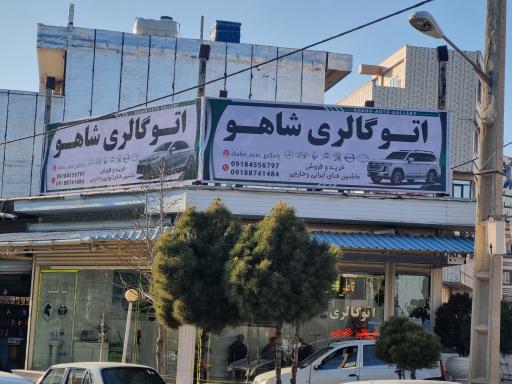 عکس اتو گالری شاهو