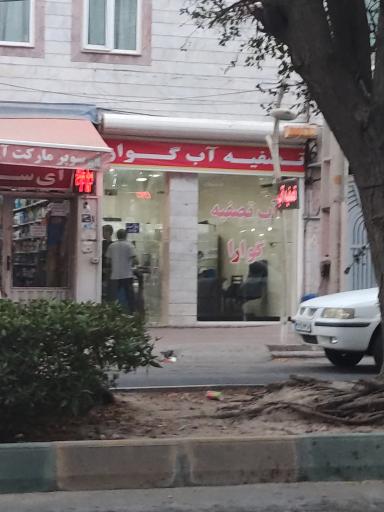 عکس تصفیه آب خانگی گوارا 