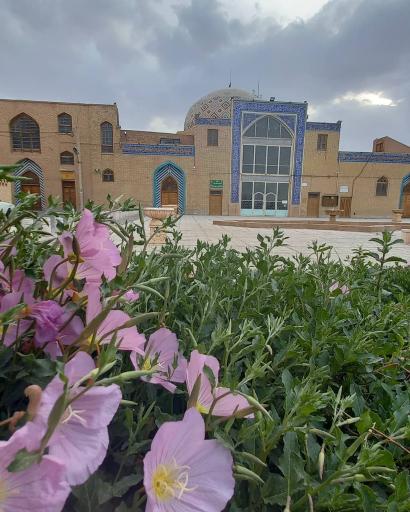 عکس مسجد جامع شاه ولی