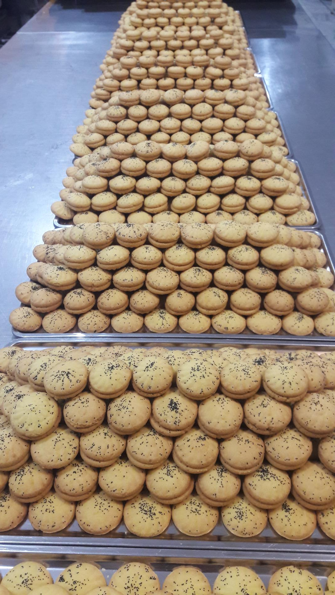 عکس قنادی باران بهاری