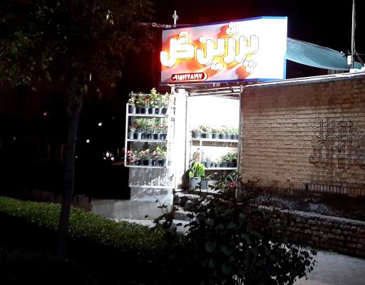 عکس گلخانه پرژین گل