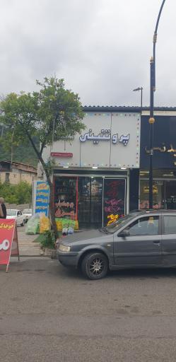 پروتئینی شهر مجید رودخانه ای