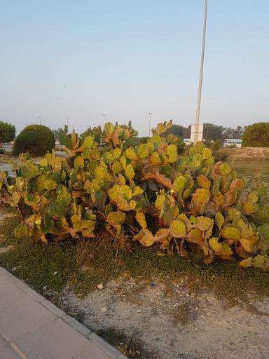 عکس پارک ساحلی کشتی یونانی