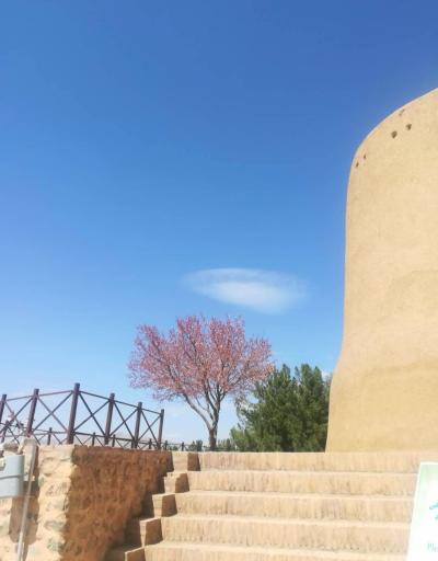 عکس قلعه بیرجند