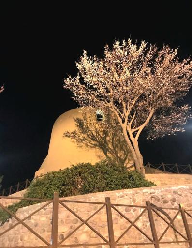 عکس قلعه بیرجند