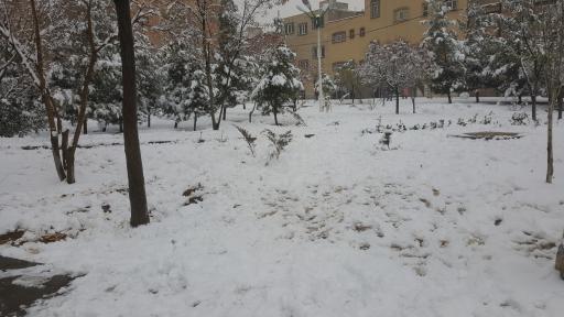 عکس پارک مرزرود