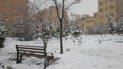 عکس پارک مرزرود