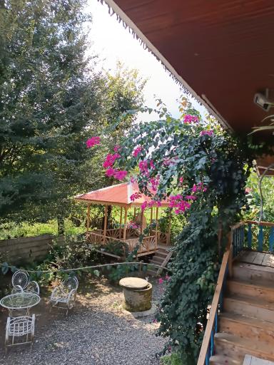 عکس بوم گردی تی تی گل