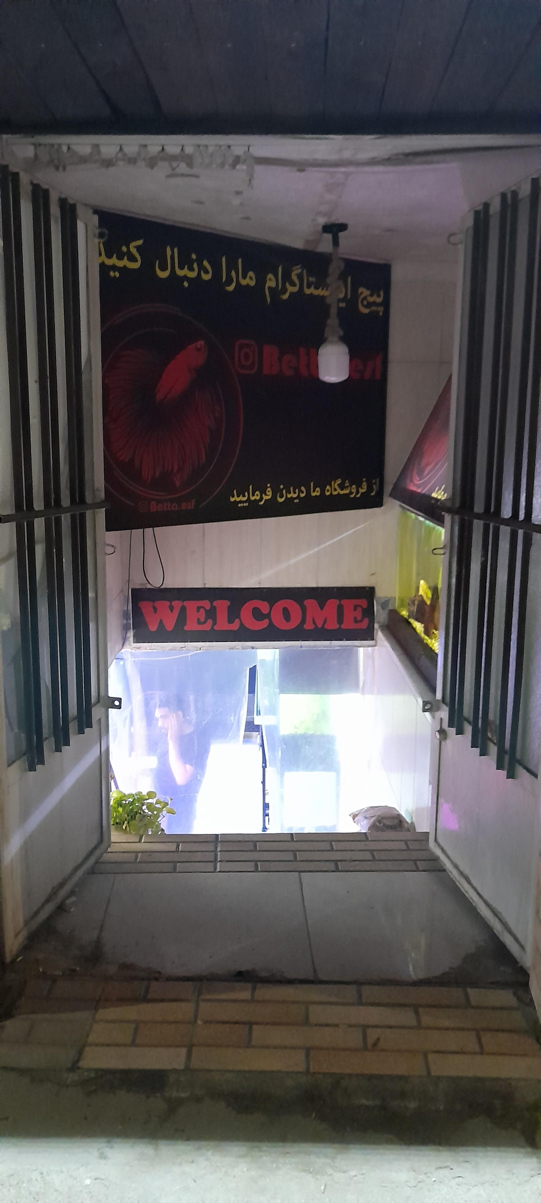 عکس آکواریوم فایتر