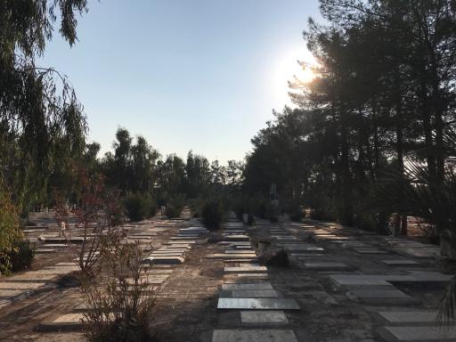 عکس بهشت معصومه سرخ حصار