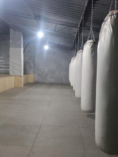 عکس باشگاه بوکس ایران کوچکی