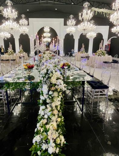 عکس باغ عمارت سناتور