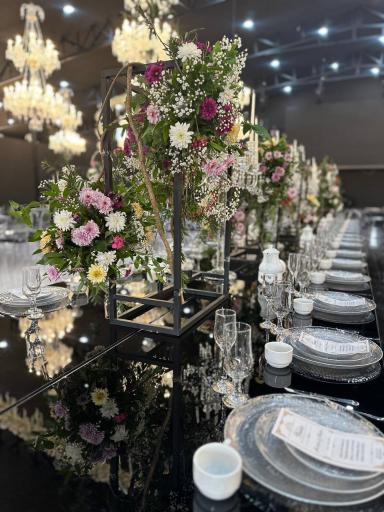 عکس باغ عمارت سناتور