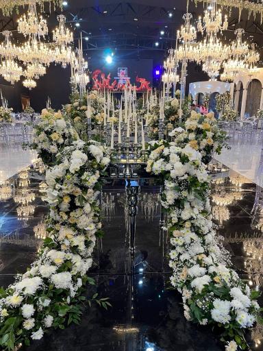 عکس باغ عمارت سناتور