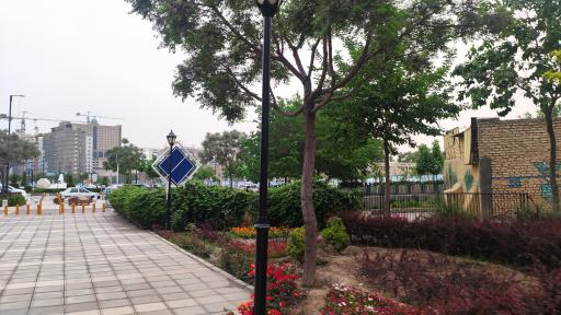 عکس ره باغ پردیس