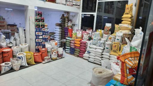 عکس چای و برنج شهروند