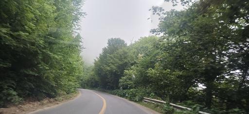 عکس جنگل های هیرکانی گرگان 