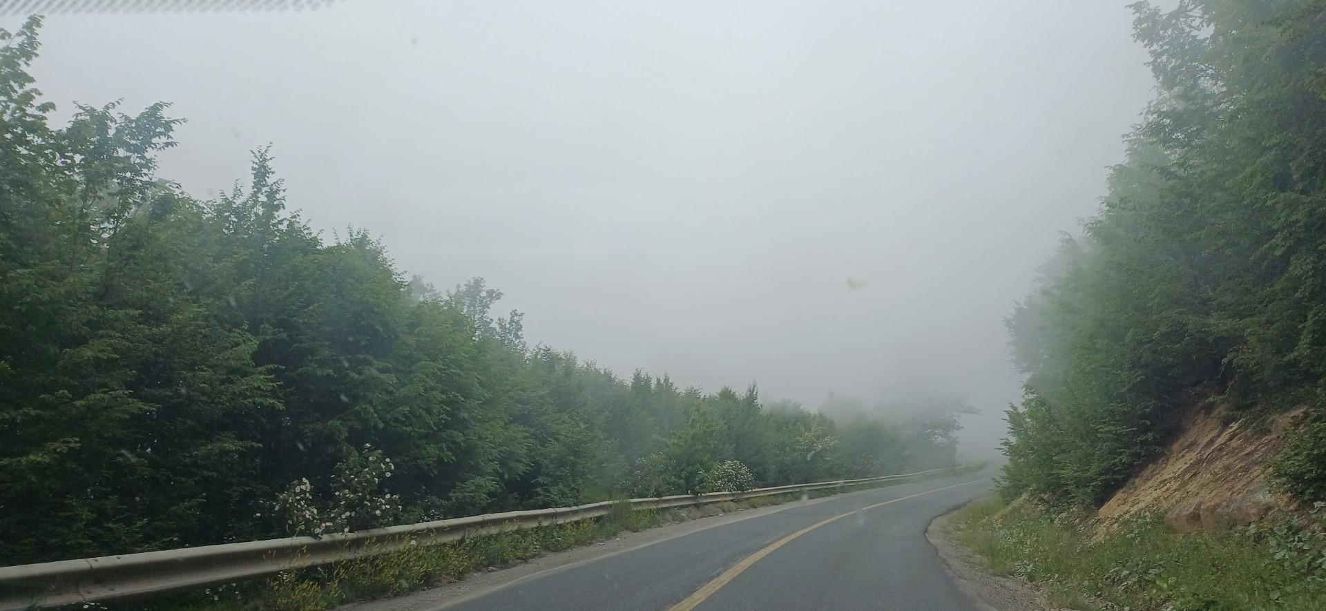 عکس جنگل های هیرکانی گرگان 