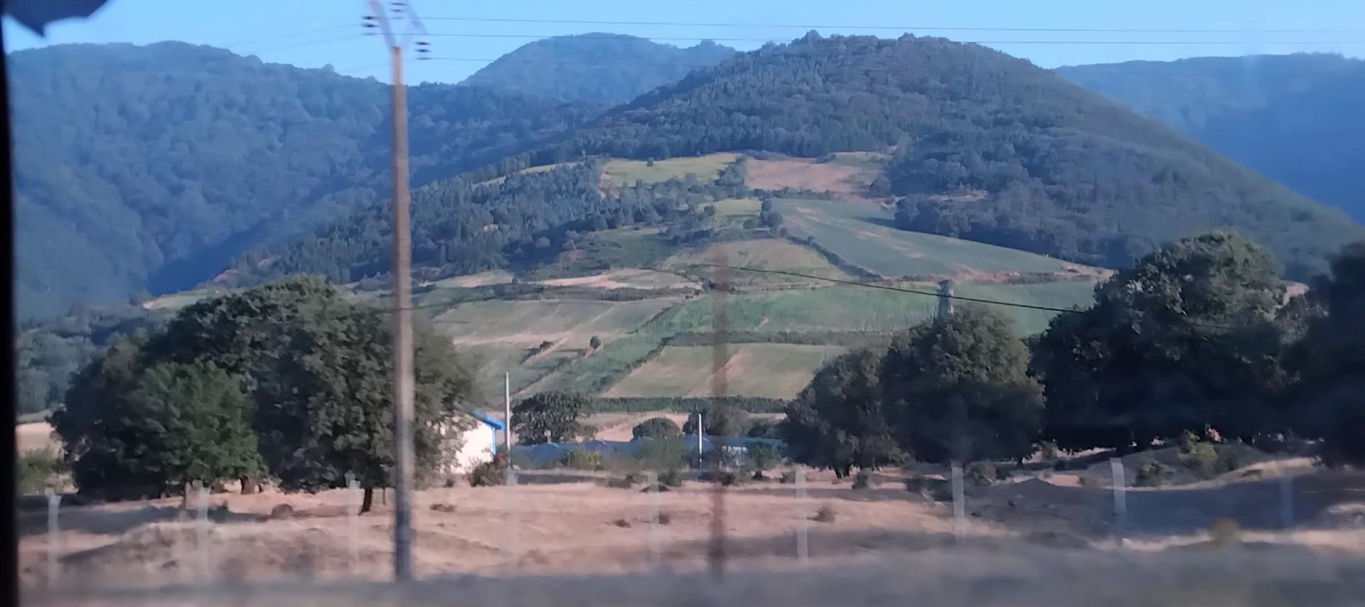 عکس جنگل های هیرکانی گرگان 