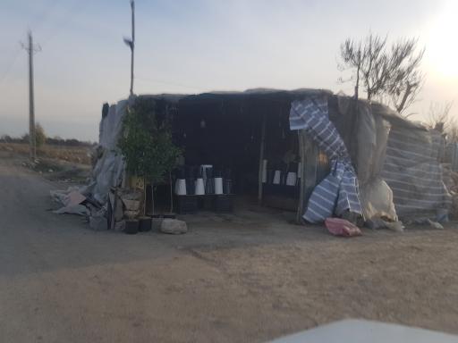 عکس گلخانه