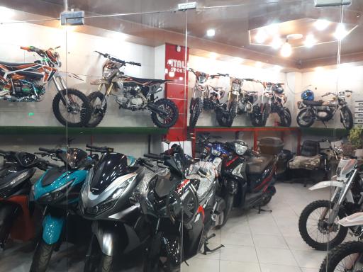 عکس شاهان سیکلت