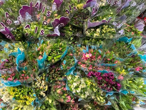 عکس گل فروشی مارال