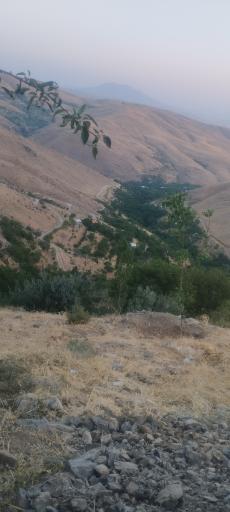 عکس روستای ملحمدره دشت اسدآباد 