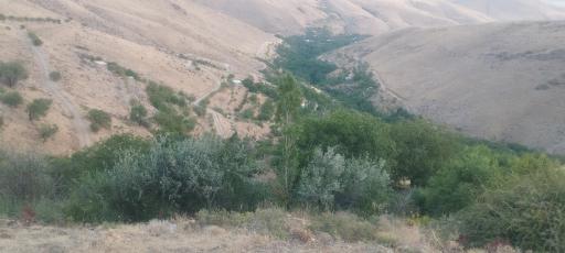 عکس روستای ملحمدره دشت اسدآباد 