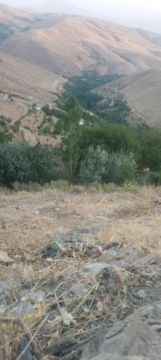 عکس روستای ملحمدره دشت اسدآباد 