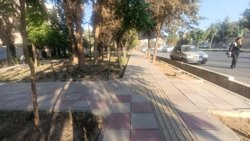 عکس بوستان ارکیده 2