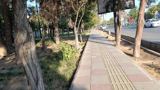 عکس بوستان ارکیده 2
