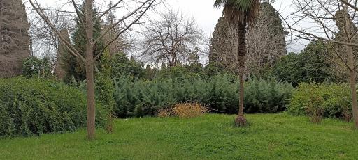 عکس شهرداری بهشهر ( باغ چهل ستون بهشهر )