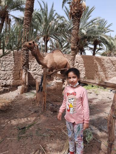 عکس باقرآباد