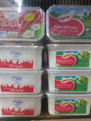 نمایندگی لبنیات پگاه-رضوی