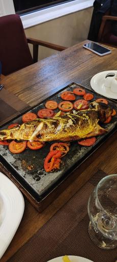 عکس اسکای لانژ ماهی خوب