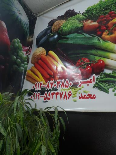 عکس سوپر میوه تک