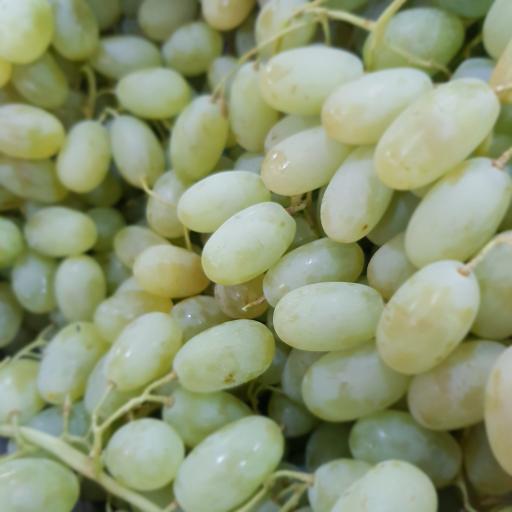 عکس سوپر میوه تک