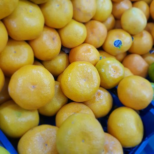 عکس سوپر میوه تک