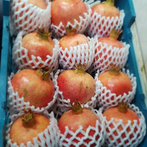 عکس سوپر میوه تک