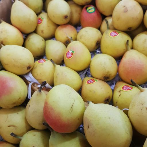 عکس سوپر میوه تک