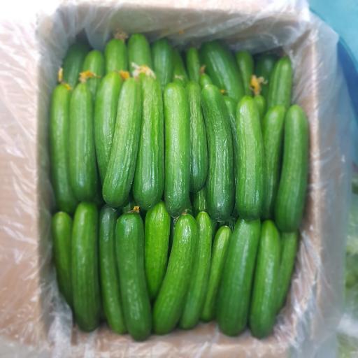 عکس سوپر میوه تک