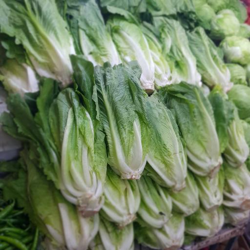 عکس سوپر میوه تک