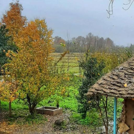 عکس اقامتگاه بومگردی کاکوله